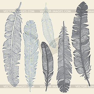 Feather Set - vector clip art