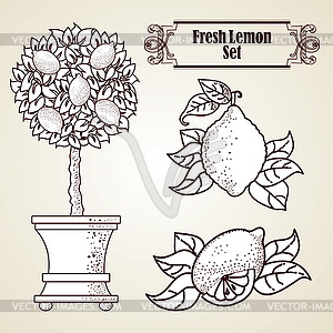 Lemon set in retro style - vector clip art