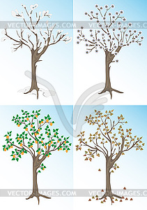 Абрикосовое дерево и сезонов - векторный рисунок