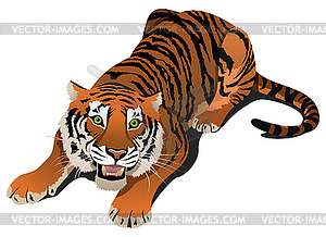 tiger roar vector