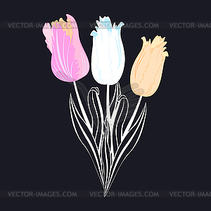 Tulips with leaves on black background - vector clipart