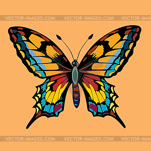 Butterfly - vector clip art