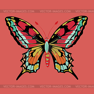 Butterfly - vector clipart