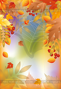 Autumn card with spider web - vector clip art