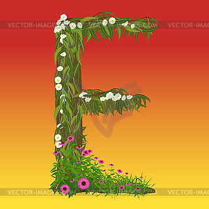 Eucalyptus-E - vector image