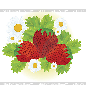Клубника и цветы ромашки - стоковый векторный клипарт