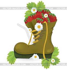 Strawberries old shoe and daisy flowers - vector clip art