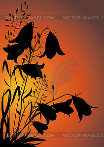 Полевые цветы в вечернем - стоковое векторное изображение