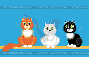 Three cats - vector clipart