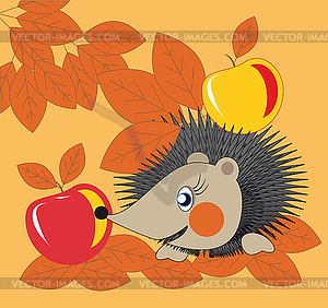 Hedgehog and apples - vector clipart