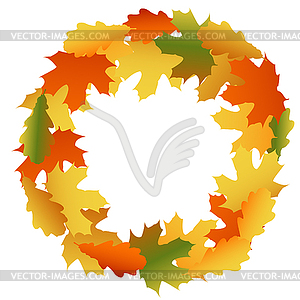 Maple and oak autumn leaves - vector clip art