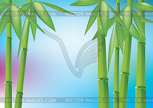 Бамбуковый лес - изображение в формате EPS