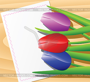 Tulips  - vector clipart