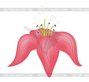 Beautiful pink flower - vector clip art