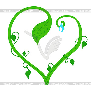 Heart of plant - vector clipart