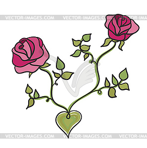 Two pink roses - vector clipart