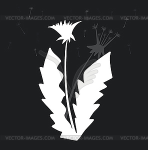 Stylized dandelions on black background - vector clipart