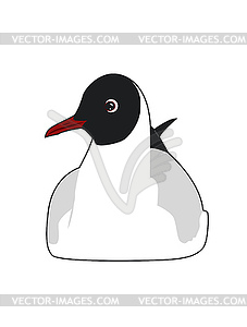 Black headed gull - vector image