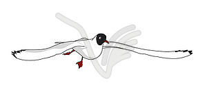 Black headed gull - vector image