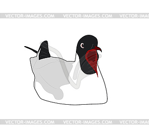 Чайка с открытым клювом - изображение в векторном формате