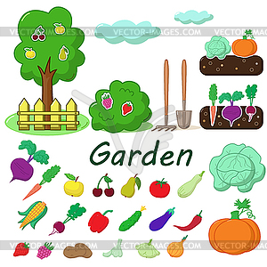 Garden with fruits and vegetables - color vector clipart