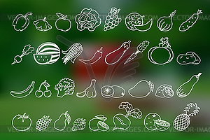 Set of fruits and vegetables - vector clip art