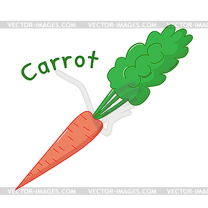 Carrot icon - vector image