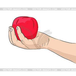 Hand holding red apple - vector clipart / vector image