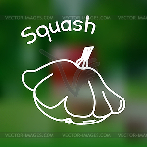 Thin line squash icon - vector clip art