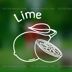 Thin line lime icon - vector clipart