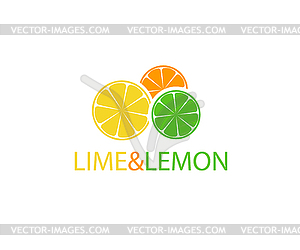 Orange, lemon and lime logo design - vector clipart