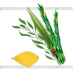 Vetor four species - palm, willow, myrtle , lemon - vector clipart