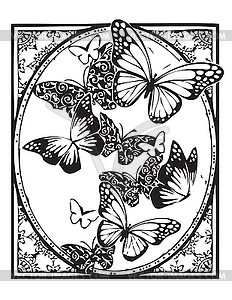 Butterflies in an oval frame. Black and white  - vector clip art