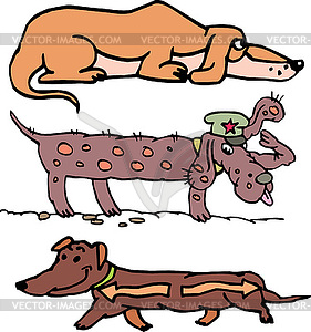 Set of funny slim dogs - vector image