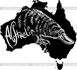 Platypus as Australian symbol - vector clipart / vector image