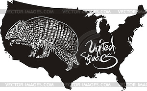 Armadillo and U.S. outline map - vector image