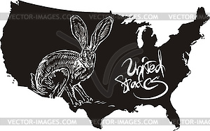 Black-tailed jackrabbit and U.S. outline map - vector clipart