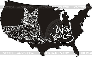 Bobcat and U.S. outline map - vector clipart