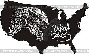 Turtle and U.S. outline map - vector image