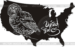 Elf owl and U.S. outline map - vector clip art