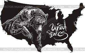 Медведь гризли и контурная карта США - рисунок в векторном формате