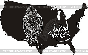 Hawk and U.S. outline map - vector image