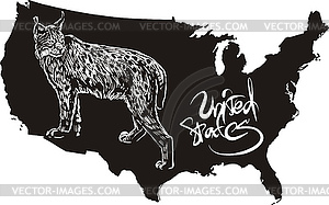 Lynx and U.S. outline map - vector clip art