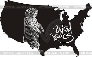 Marmot and U.S. outline map - vector image