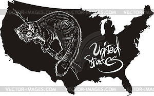 Marten and U.S. outline map - vector image