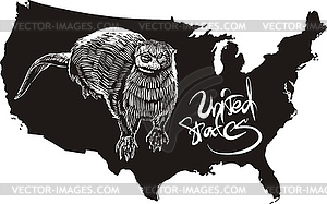 Otter and U.S. outline map - vector clip art