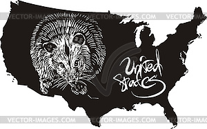 Opossum and U.S. outline map - vector clip art