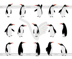 Set of penguins - vector image