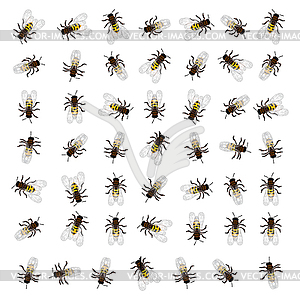 Seamless bee pattern - vector clipart