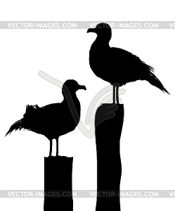 seagull outline clipart images